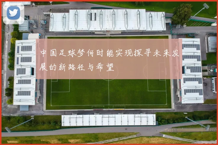 中国足球梦何时能实现探寻未来发展的新路径与希望