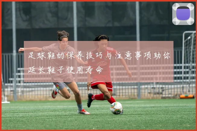 足球鞋的保养技巧与注意事项助你延长鞋子使用寿命