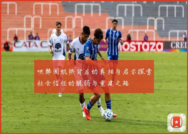 哄弊闱虮热背后的真相与启示探索社会信任的脆弱与重建之路